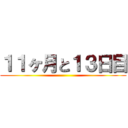 １１ヶ月と１３日目 ()