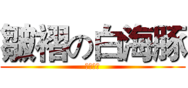 皺褶の白海豚 (轉彎美尻)