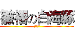 皺褶の白海豚 (轉彎美尻)