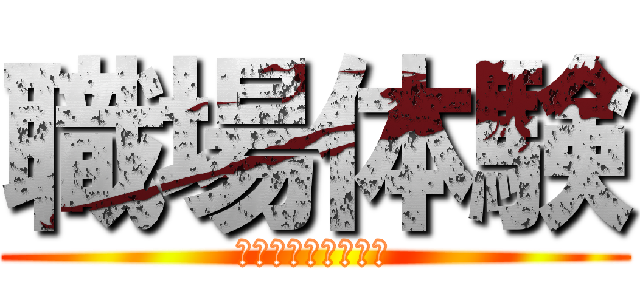 職場体験 (プレゼンテーション)