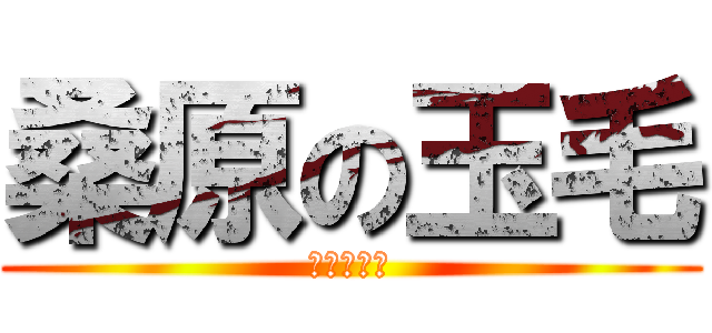 桑原の玉毛 (まじくさい)