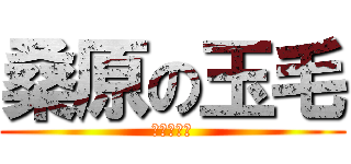 桑原の玉毛 (まじくさい)