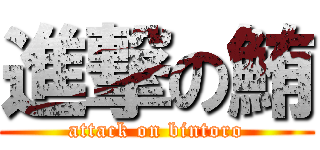 進撃の鮪 (attack on bintoro)