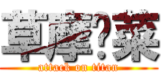 草摩阳菜 (attack on titan)