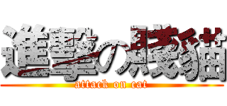 進擊の賤貓 (attack on cat)
