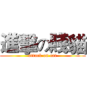 進擊の賤貓 (attack on cat)