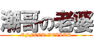 潮哥の老婆 (EFFECT VEILER)