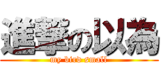 進撃の以為 (my bird small)