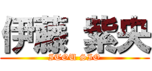 伊藤 紫央 (ITOU SIO)