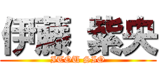 伊藤 紫央 (ITOU SIO)