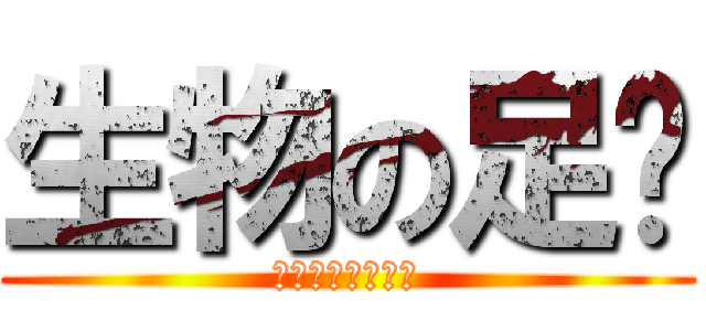 生物の足🦶 (足の進化と退化🦵)