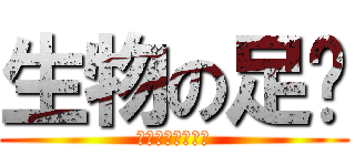 生物の足🦶 (足の進化と退化🦵)