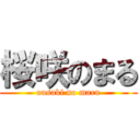 桜咲のまる (ousaki no maru)