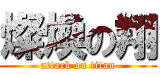 燦煥の翔 (attack on titan)