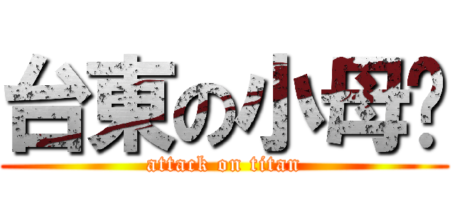 台東の小母雞 (attack on titan)