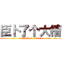 臣卜了个大槽 (attack on titan)