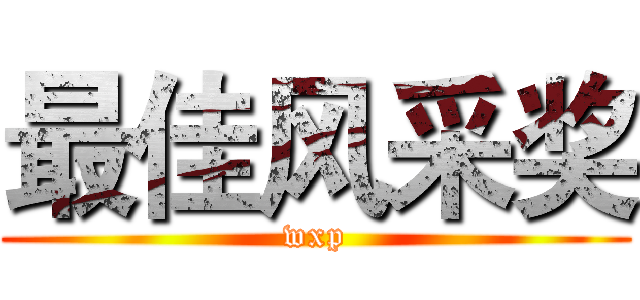 最佳风采奖 (wxp)