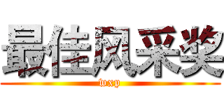 最佳风采奖 (wxp)