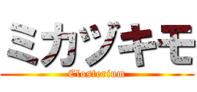 ミカヅキモ (Closterium)