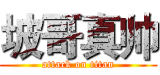 坡哥真帅 (attack on titan)