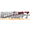 肥琪是胖子 (attack on titan)