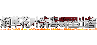 烟草花叶病毒哪里出售 (烟草花叶病毒哪里出售【电-186x2687x6963-Q278180069元-吉-药-业】我们做的是长期生意,靠的是老客户长期支持 http://sngk.net/Z9GIaw
)