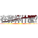 在靠杯什麼啦 (...)