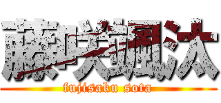 藤咲颯汰 (fujisaku sota)