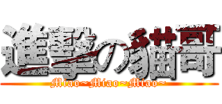進擊の貓哥 (Miao~Miao~Miao~)