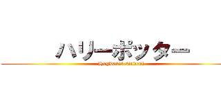      ハリーポッター      (Hogwarts student)