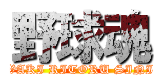 野球魂 (IWAKI RITORU SINIA)