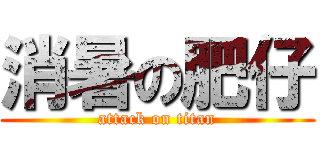 消暑の肥仔 (attack on titan)