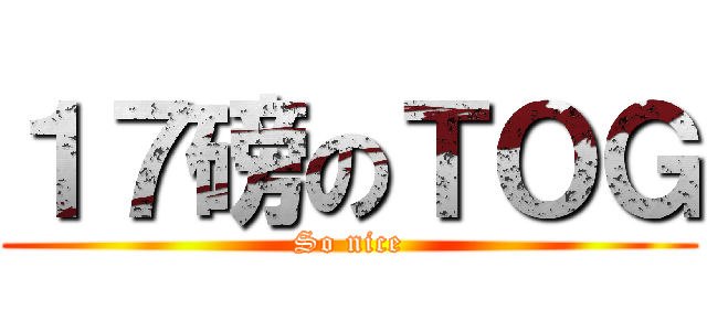 １７磅のＴＯＧ (So nice)