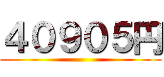 ４０９０５円 ()
