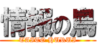 情報の鳥 (TAITO HURUI)