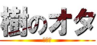 樹のオタ (アハン)