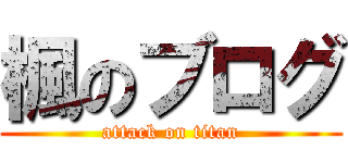 楓のブログ (attack on titan)