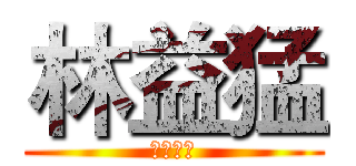 林益猛 (你的益达)