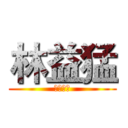 林益猛 (你的益达)