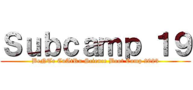 Ｓｕｂｃａｍｐ １９ (BeNTe CuAtRu Science Boot Camp 2023)