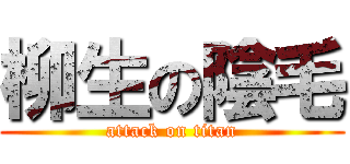 柳生の陰毛 (attack on titan)