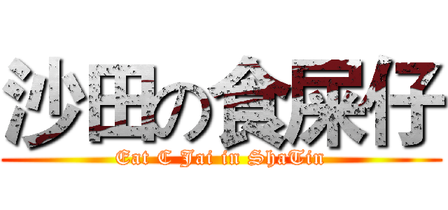 沙田の食屎仔 (Eat C Jai in ShaTin)