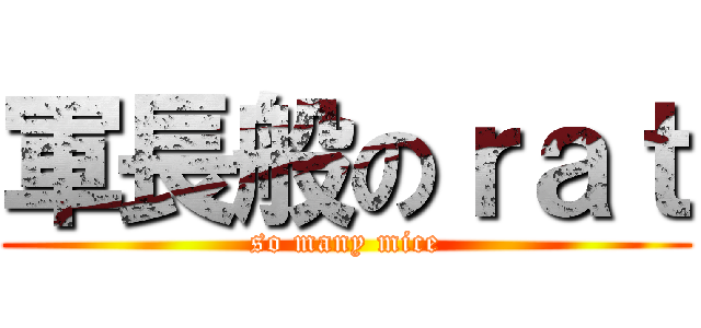 軍長般のｒａｔ (so many mice)