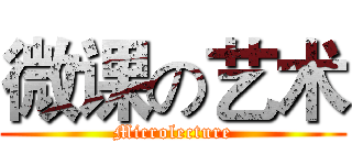 微课の艺术 (Microlecture)
