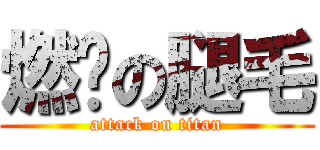 燃烧の腿毛 (attack on titan)