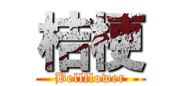 桔梗 (Bellflower)