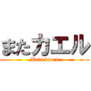 またカエル (Mata kaeru)