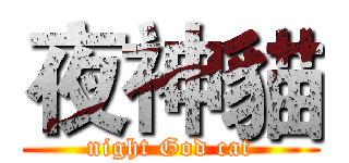 夜神貓 (night God cat)