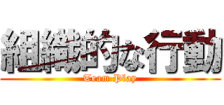 組織的な行動 (Team Play)