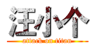 汪小个 (attack on titan)